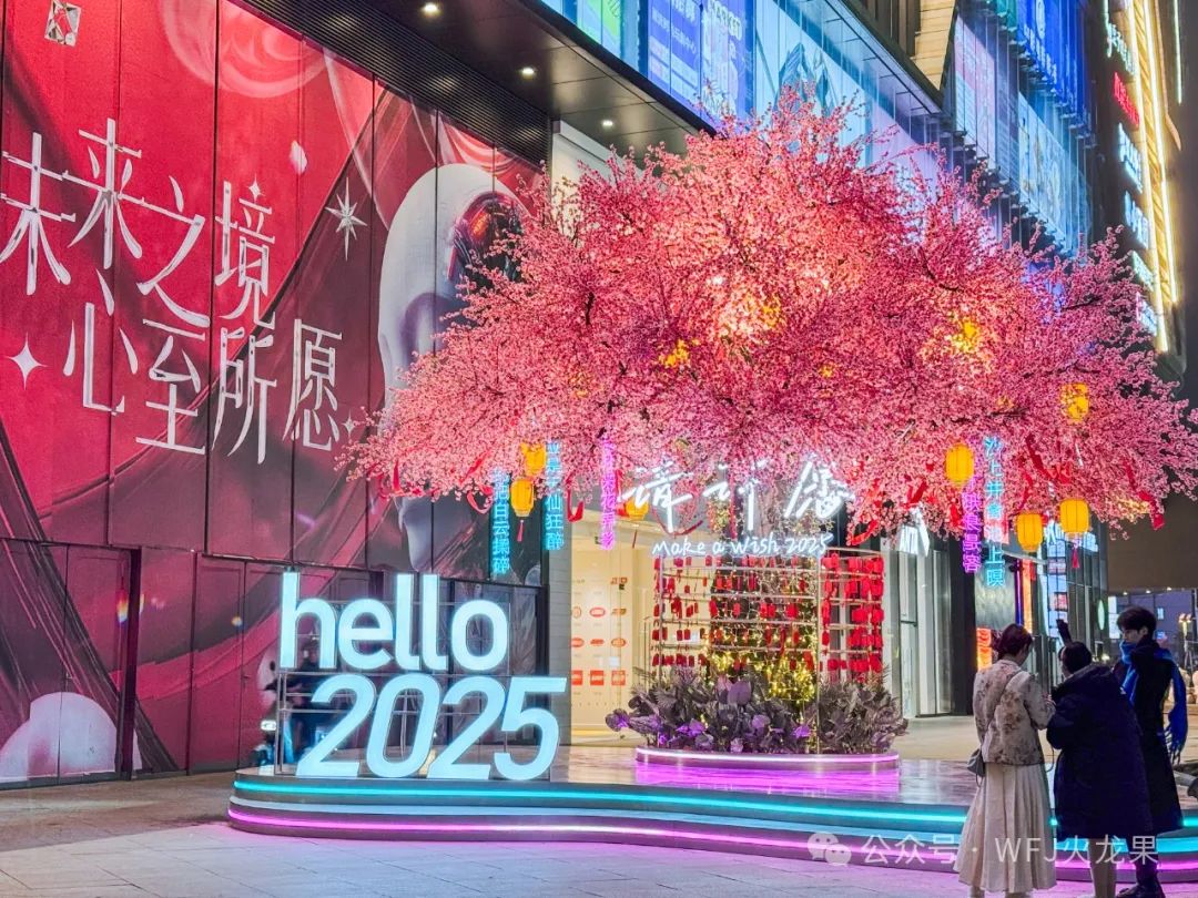 20250106144406_2342