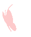 20250317135226_5902