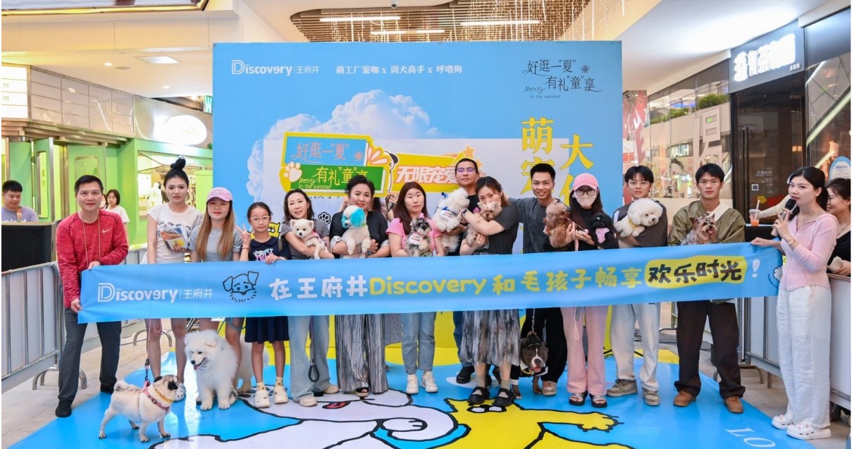 成都BJL平台官网Discovery